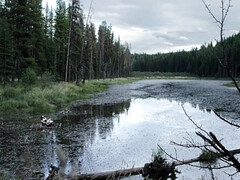 Rondborstig, Erotisch, Vingeren, Lesbisch, Naakt, Buiten