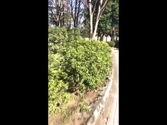 Asiático, Chica, Verga grande, Mamada, Gordita, Sexo duro, Casero, Lencería