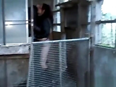 Mamada, Bukkake, Tetona, Clásico, Corridas, Estilo perrito, Francés, Tatuaje