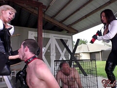 Arsch, Fesselspiele, Braunhaarige, Weibliche domination, Fetisch, Gruppe, Milf, Hintern versohlen
