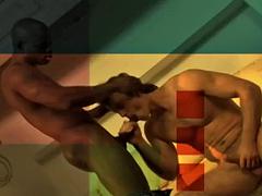 Homosexuelle, Interracial