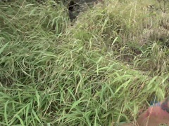 Leie, Bikini, Blondine, Freundin, Brille, Pov, Muschi, Dürr