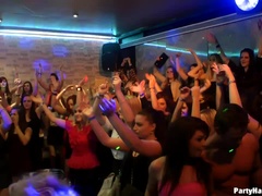 Kont, Zwart, Pijpbeurt, Naakte man aangeklede vrouw, Dansen, Groep, Orgie, Kut duiken