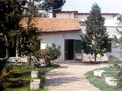 Большая жопа, Большие сиськи, Блондинки, Брюнетки, Секс без цензуры, Милф, Киски, Винтаж