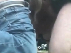 Amateur, Playa, Rubia, Mamada, Corridas, Estilo perrito, Grupo, Hd