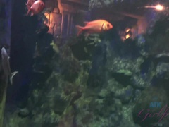 Brunette brune, Doigter, Petite amie, Orgasme, De plein air, Pov, Public, Rasée