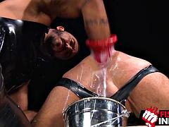 In den arsch, Arschlecken, Grosser schwanz, Blasen, Dildo, Faustfick, Schwul, Masturbation