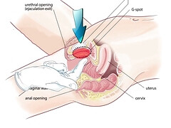 Anal, Beauté, Sucer une bite, Plantureuse, Classique, Doigter, Naturelle, Mamelons