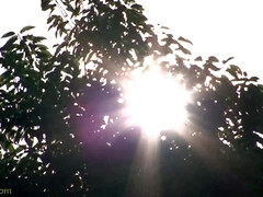 アジア人, お尻, 美女, デカ尻, フェラチオ, 茶髪の, ハードコア, オマンコ