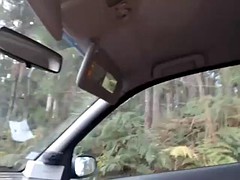 Voiture, Masturbation, De plein air