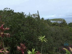 素人, キス, パンティ, 公共, オマンコ, 剃毛, オッパイの, 濡れ