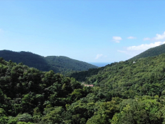 Blonde, Sucer une bite, Double pénétration, Hd, Interracial, Plan cul à trois