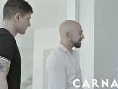 Lamer culo, Mamada, Morena, Gay, Interracial, Latina, Músculo, Tatuaje