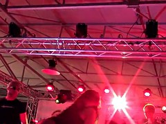ブロンド, 茶髪の, グループ, オージー, スペイン人