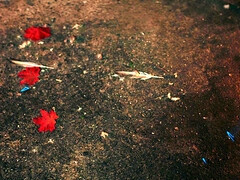 デカ尻, バック, ドレス, ヨーロピアン, なめる, オマンコ, 剃毛, タトゥー