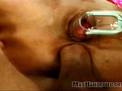 Grosser arsch, Grosser schwanz, Braunhaarige, Orgasmus, Muschi, Jungendliche (18+), Titten, Nass