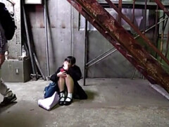 アジア人, Hd, 日本人