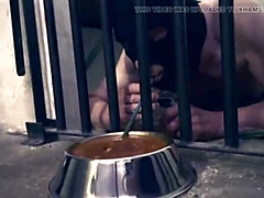 Садо мазо, Женское доминирование, Хд, Зрелые, Милф, Властные, Рабыни, Втроем