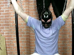 チェコ, 服従, ヨーロピアン, 女, フェティッシュ, 愛人, ポルノスター, 妻