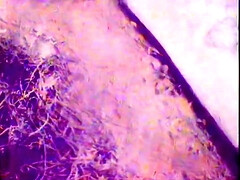 In den arsch, Grosser arsch, Grosse titten, Blondine, Schwanz, Hd, Vintage