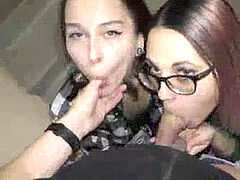 Amateur, Mamada, Morena, Corridas, Casero, Pequeña, Chupando, Adolescente