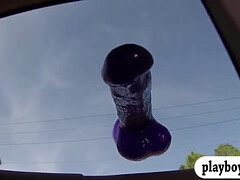 Woman Fucks A Purple Rubber Toy Sticked On Car Window