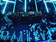 美女, フェラチオ, ハードコア