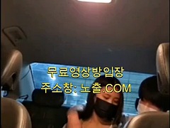 Simple solution in the car 2 korea domestic porn korean korean porn asian free porn