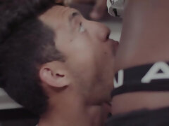 Homo