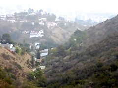 Азиатки, Брюнетки, Грудастые, Собачьи, Эротика, Секс без цензуры, Реалити, Тату