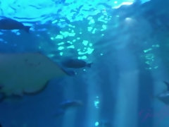 Enthousiasteling, Blond, Jurk, Vingeren, Vriendin, Gezichtspunt, Kut duiken, Tieten likken