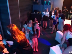 Lieveling, Gek, Erotisch, Handbeurt, Hardcore, Orgie, Feest, Tieten likken
