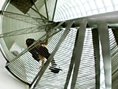 お尻, 美人, 巨乳な, 古典, カワイイ, 天然, 乳首, オーガズム