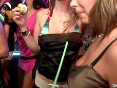 Grosser schwanz, Blasen, Vollbusig, Gruppe, Hardcore, Natürlichen titten, Orgie, Party