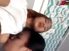 Bruinharig, Groep, Hd