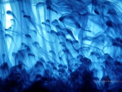 Culo, Sadomasoquismo, Culo grande, Amarrada, Fetiche, Orgasmo, Coño, Juguetes