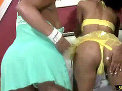 Partouze, Transsexuelle