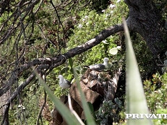 Grote kont, Grote mammen, Blond, Pijpbeurt, Rondborstig, Moeder die ik wil neuken, Buiten, Trio
