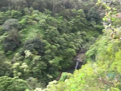 Negro, Penetracion con dedos, Orgasmo, Al aire libre, Afeitado, Flaco, Voyeur, Mojado