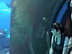 車, 中出し, 指いじり