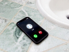 デカチン, フェラチオ, バック, ハードコア, 自然山雀, タトゥー, のぞき, 濡れ