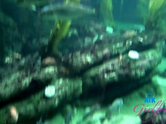 アナル, フェラチオ, 指いじり, 足コキ, 小柄, オマンコ, 剃毛, オッパイの