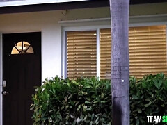 Blond, Bruinharig, Classisch, Diep in de keel, Sperma in gezicht, Handbeurt, Tatoeage, Trio