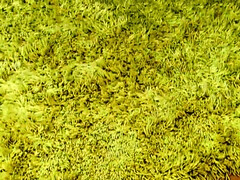 Большие сиськи, Блондинки, Бабушки, Зрелые, Соло, Чулки, Сиськи, Игрушки