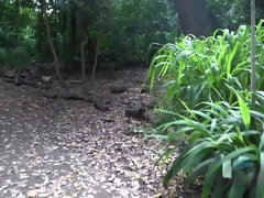 Leie, Braunhaarige, Freundin, Orgasmus, Im freien, Öffentlich, Muschi, Rasiert