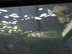 浴室, ブロンド, 汚れた　, 人形, 指いじり, パンティ, オマンコ, オッパイの