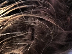 素人, フェラチオ, Hd, 熟年, アウトドア, ハメ撮り