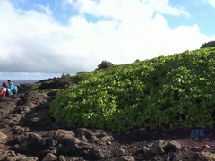 Любители, Брюнетки, Эксгибиционист, Подружка, Крошечные, От первого лица, Киски, Сиськи