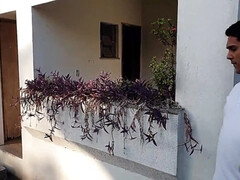 Любители, Красотки, Толстушки, Глубокая глотка, Член, Групповуха, Киски, Сиськи