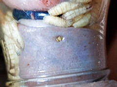 Enthousiasteling, Bondage discipline sadomasochisme, Fetisj, Omie, Huisgemaakt, Moeder die ik wil neuken, Openbaar, Taboe